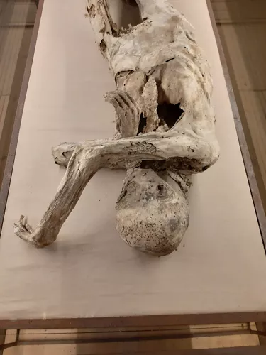 Museo della cripta - Le mummie di Monsampolo