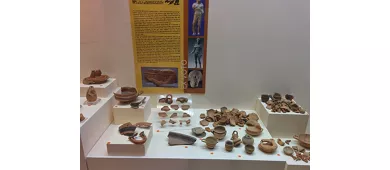 Museo Civico Archeologico