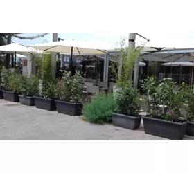 Ristorante Ostro