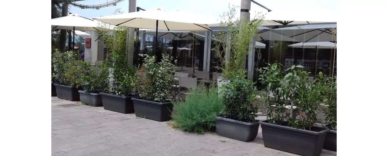 Ristorante Ostro