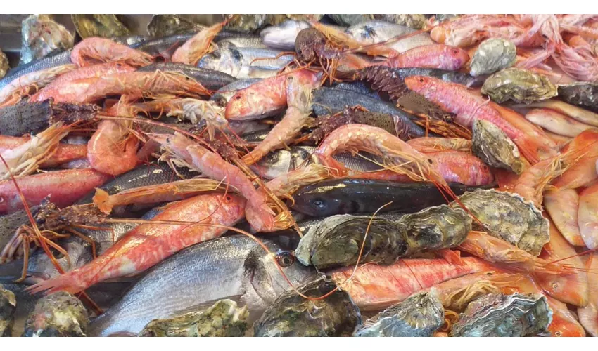 Don Turiddu da Alfio