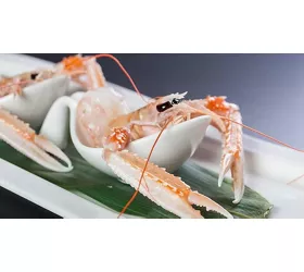 Hattori Hanzo - cocktail & sushi