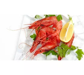 Ristorante Grotta Ardito