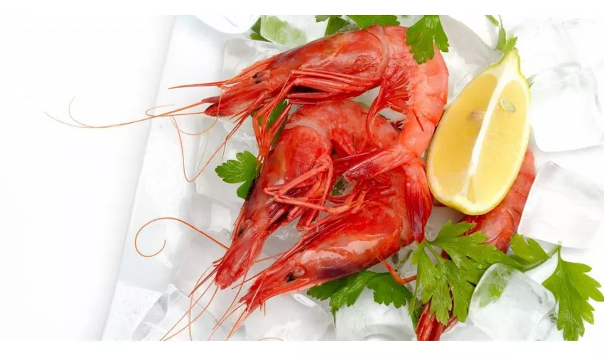 Ristorante Grotta Ardito