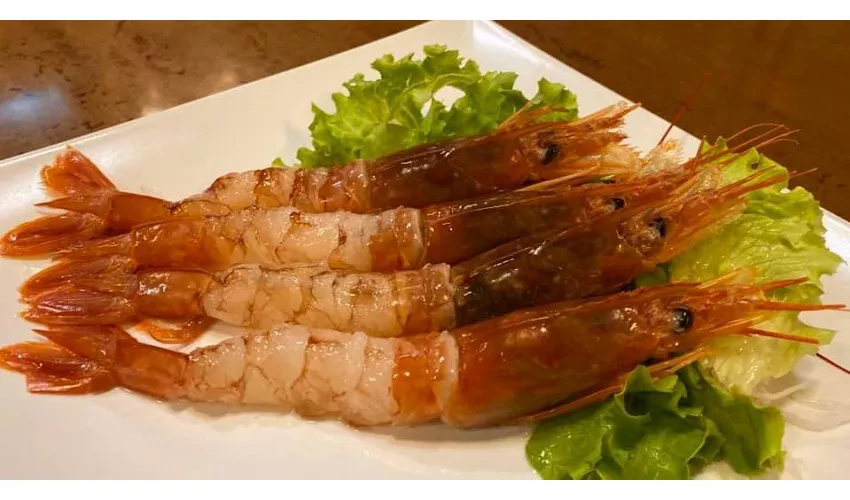 Ristorante Giapponese Pingusto