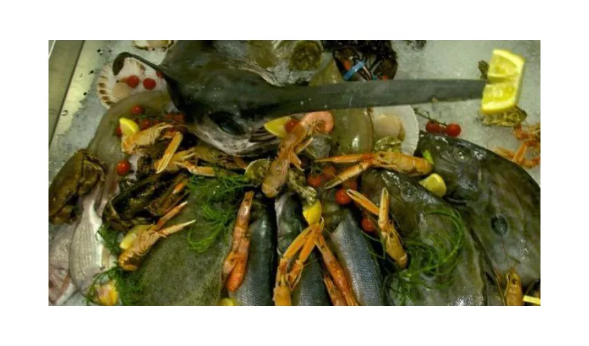 Ristorante Pizzeria Antichi Sapori