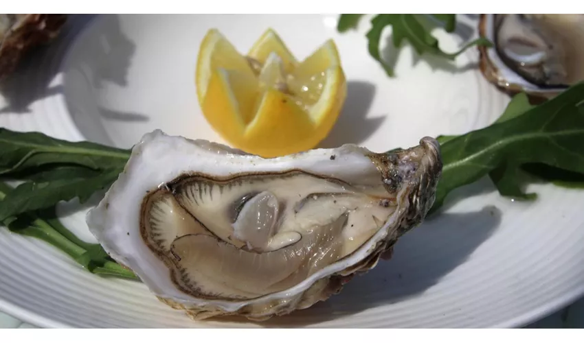 Ristorante La Colonna