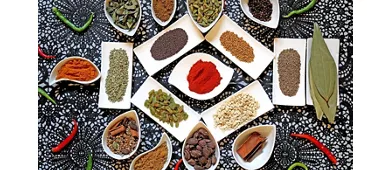 Crown of India, Ristorante Indiano a Firenze