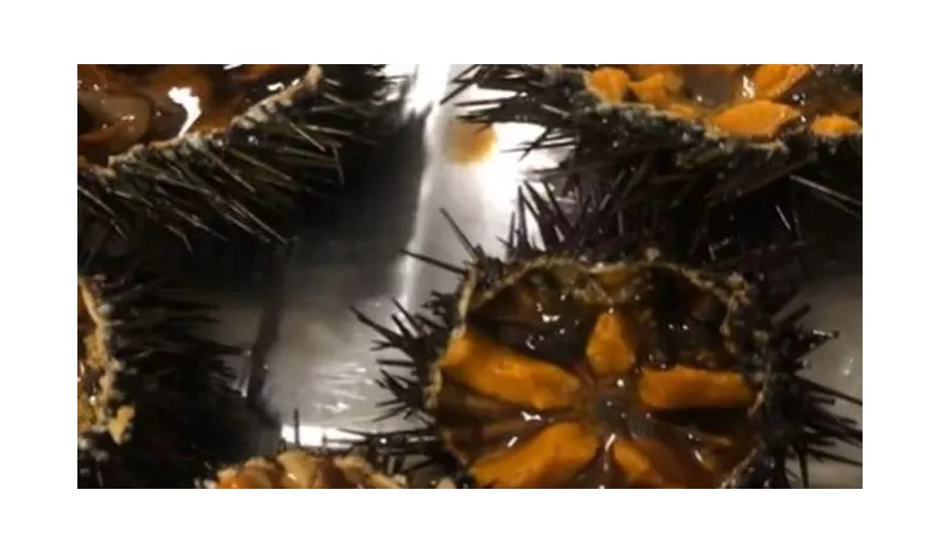 Palazzaccio Da Eduardo Ristorante