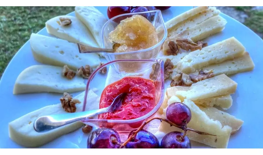 Agriturismo Casavecchia