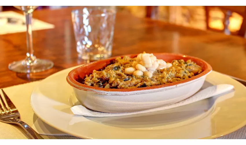 Agriturismo Casavecchia