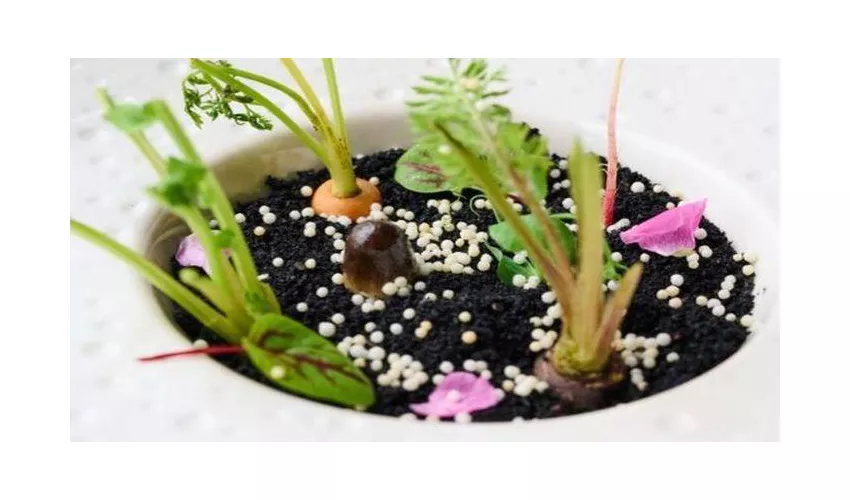 Ristorante Fuso