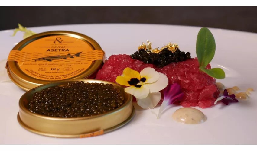 Ginzo - Creative Taste Padova
