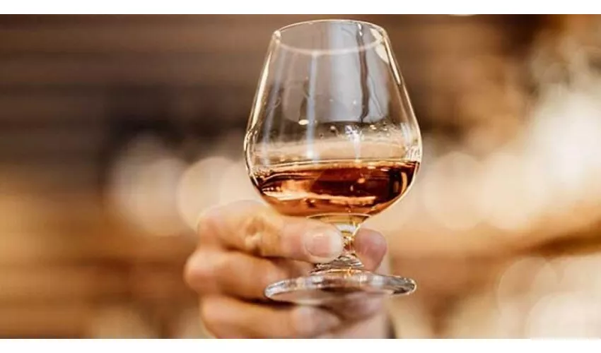 Vizio Wine Bar