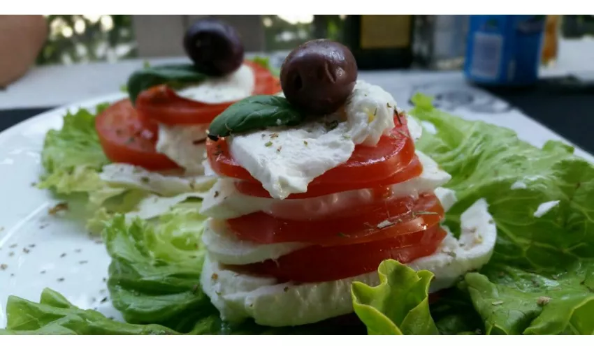 PIZZERIA RIO