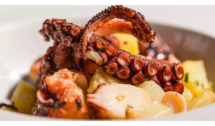 Geco Ristorante