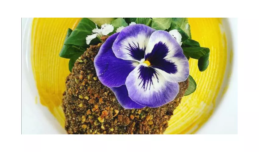 L'Orto già Salsamentario - Ristorante Vegetale Plant Based
