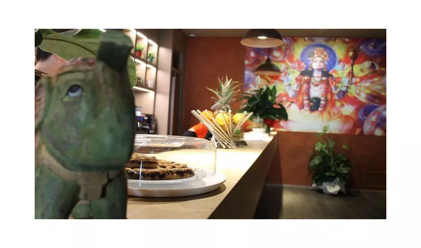 Nirvana Veg Restaurant Firenze