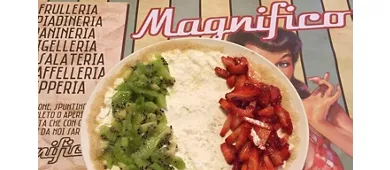 MAGNIFICO