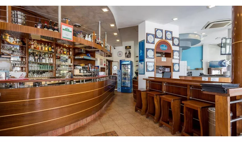Ristorante Pizzeria Auriga