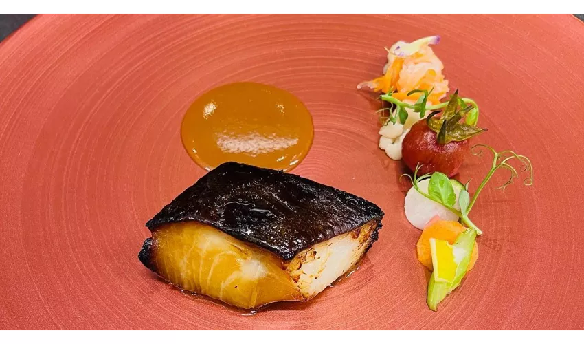 KOMO Fusionable Taste