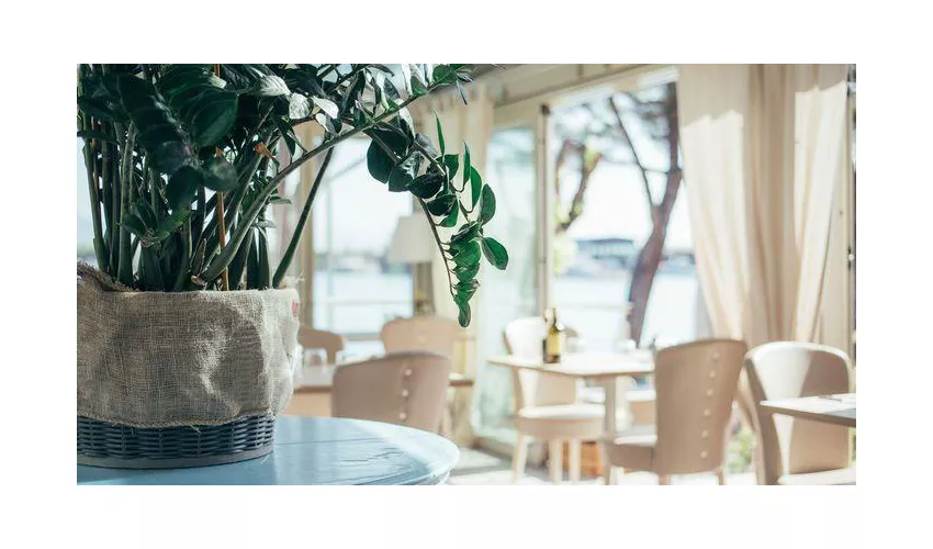 Tortuga Coffee & Restaurant