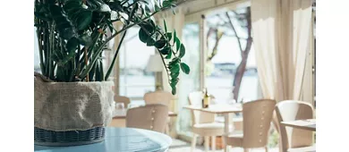 Tortuga Coffee & Restaurant