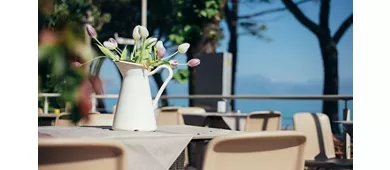 Tortuga Coffee & Restaurant
