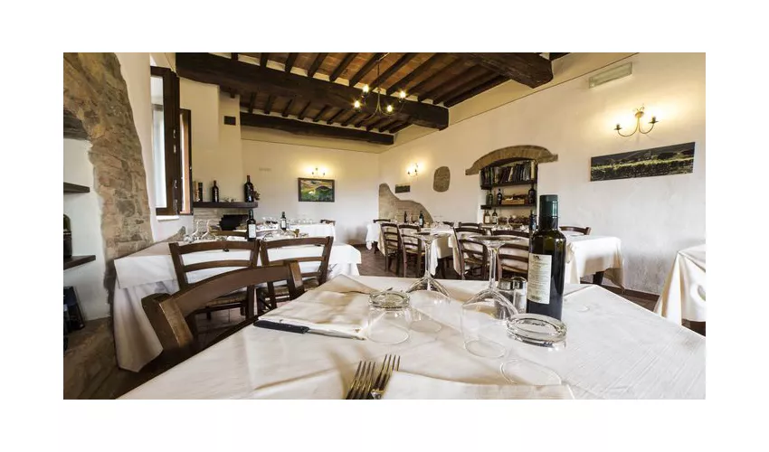 Trattoria Il Pozzo