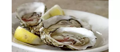 Trattoria Gasparo