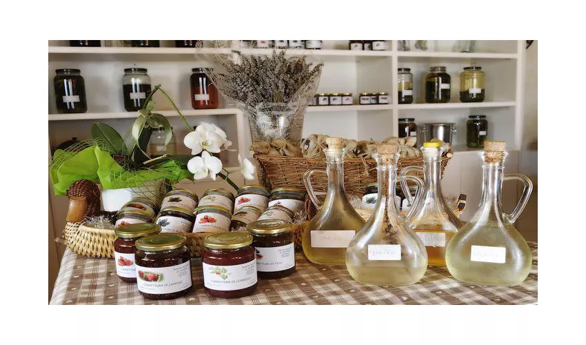 Agriturismo il Rudere