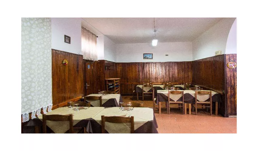 Sapori Di Napoli Livorno