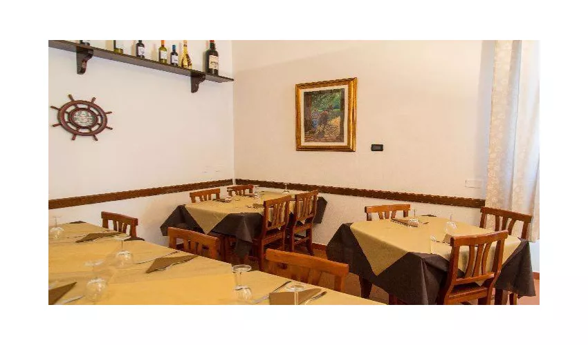 Sapori Di Napoli Livorno