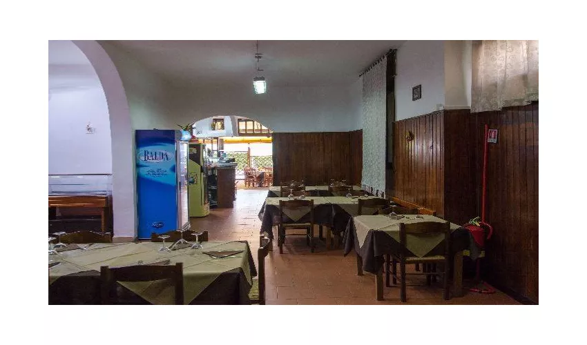 Sapori Di Napoli Livorno