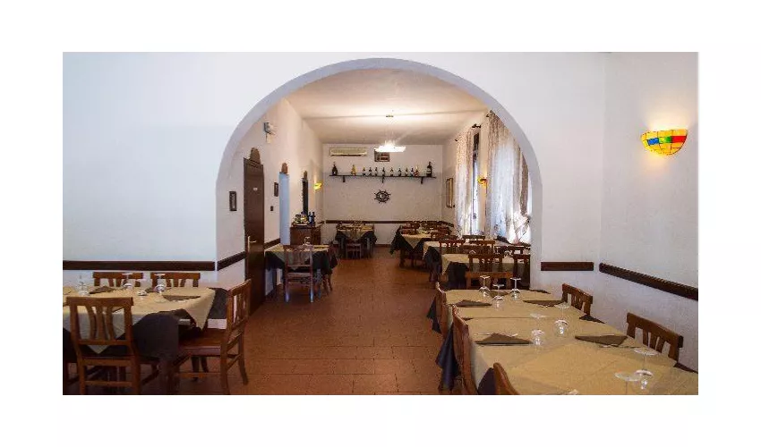 Sapori Di Napoli Livorno