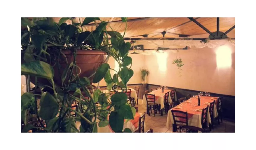 Ristorante Pizzeria WineBar La Cantina di Pinocchio