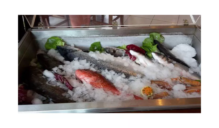 Ristorante Pizzeria Le Camelie