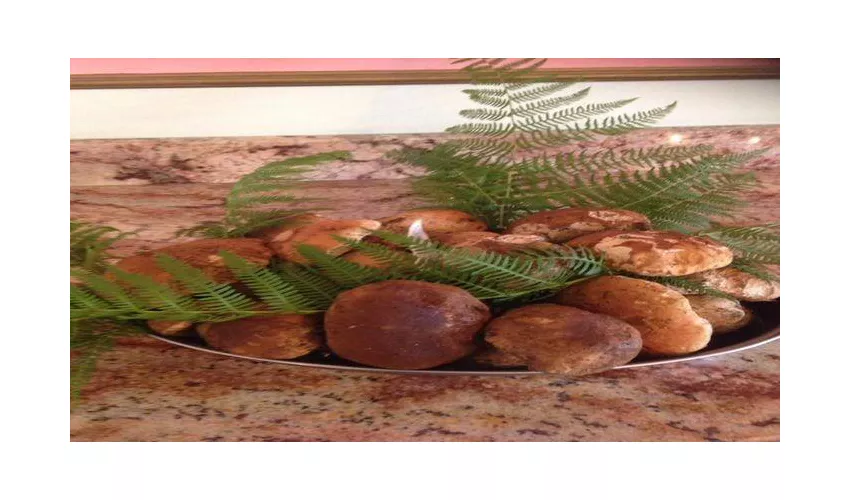 Ristorante Pizzeria Le Camelie