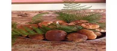 Ristorante Pizzeria Le Camelie