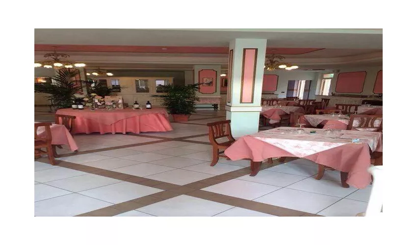 Ristorante Pizzeria Le Camelie