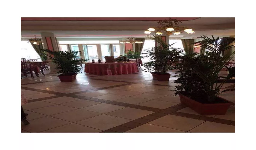 Ristorante Pizzeria Le Camelie