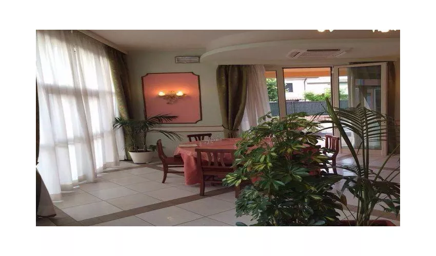 Ristorante Pizzeria Le Camelie