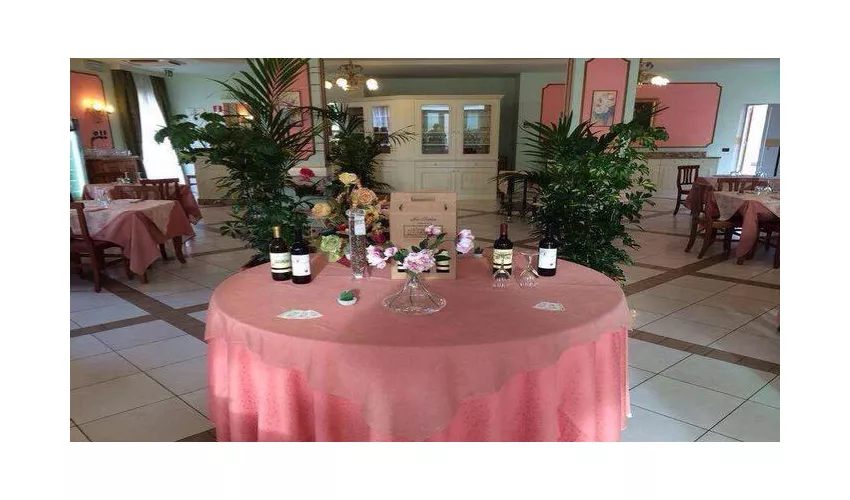 Ristorante Pizzeria Le Camelie