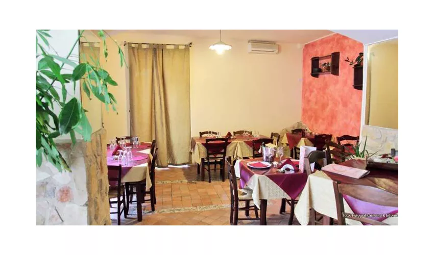 Trattoria Anima e Core