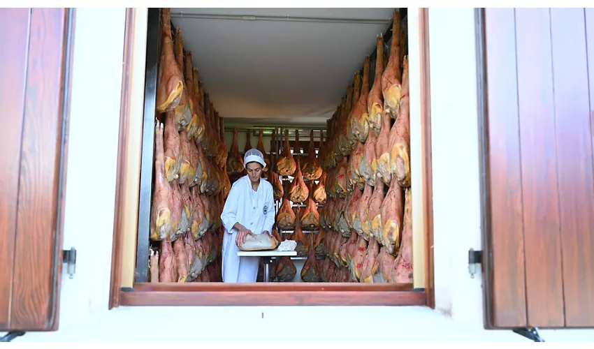 La Casa del Prosciutto - Alberti 1906