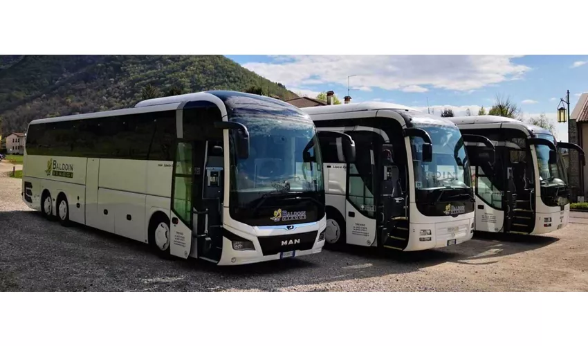Baldoin Viaggi Snc Di Davide Baldoin & C.