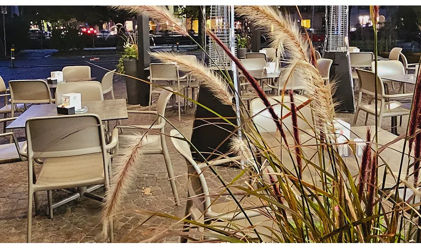 Matisse Omegna food & drink