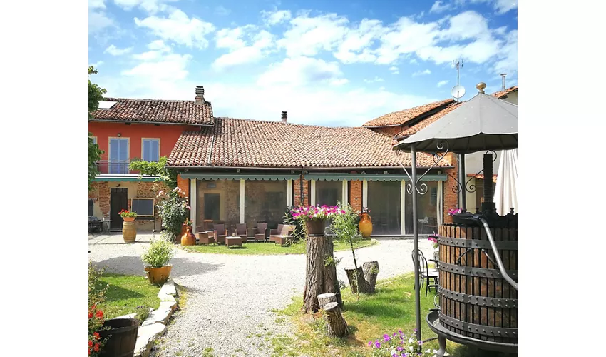 La Vigna Del Maestro