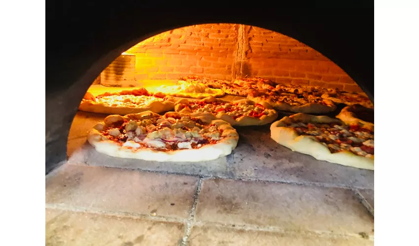 Panciotto Pizza e Ristoro