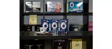 Gregoil Gregorio Group